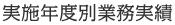 実施年度別業務実績